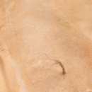 Terrains Sandy Desert- 250ml (Acryl)