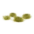 Gamers Grass Tiny Tufts Dry Green