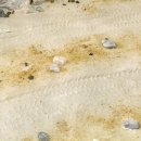 AK Terrains Desert Sand – 250ml (Acryl) 